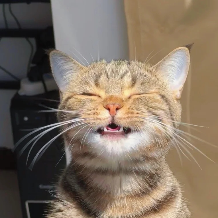 看到你了