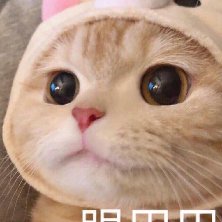 zhttty