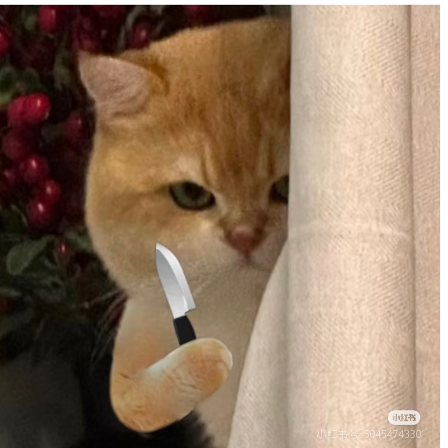邪恶小茂密