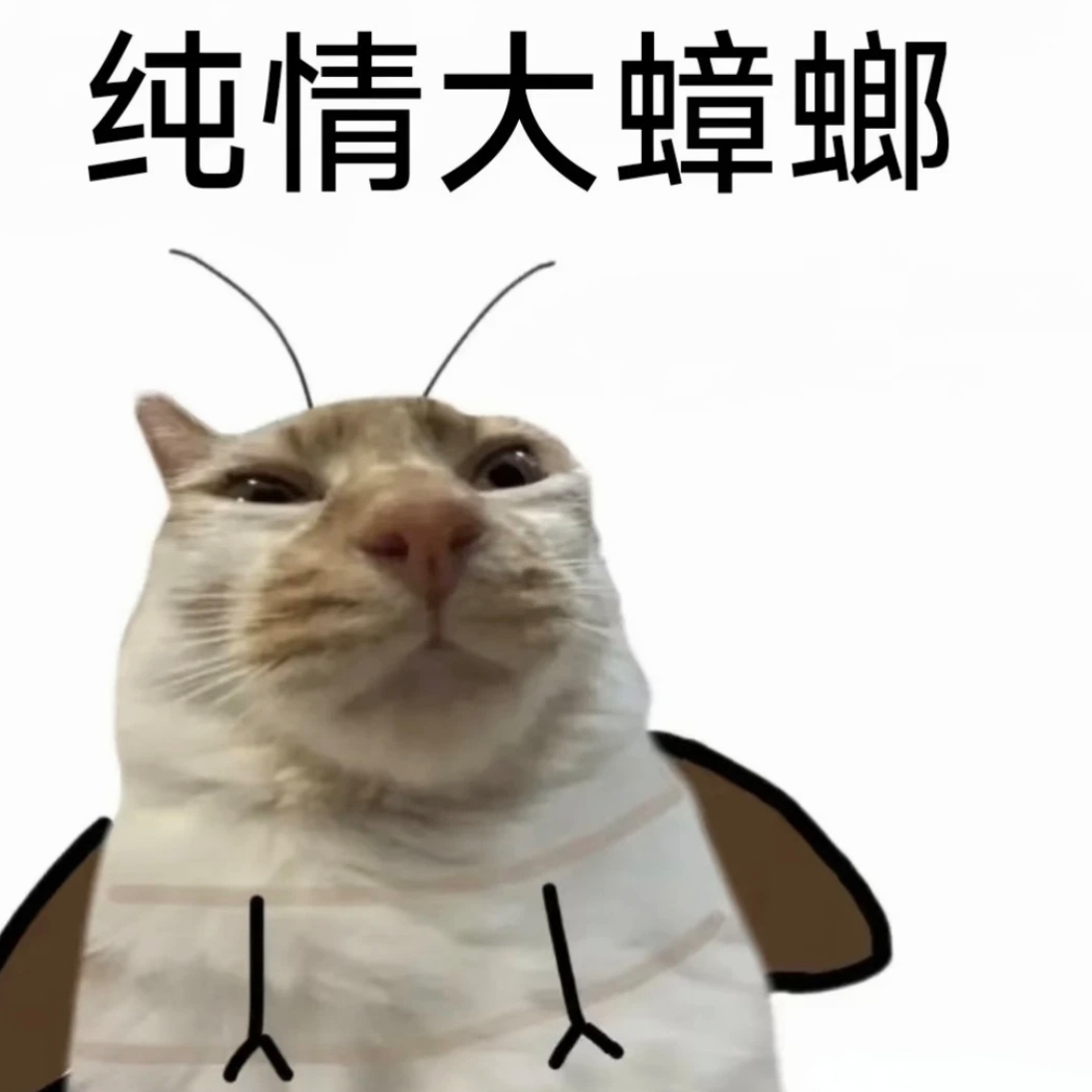 帅哥
