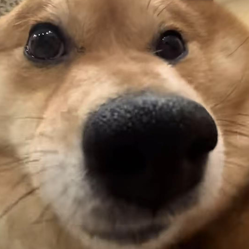 昱姳