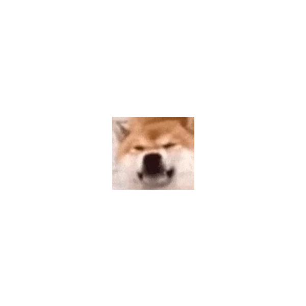 求回