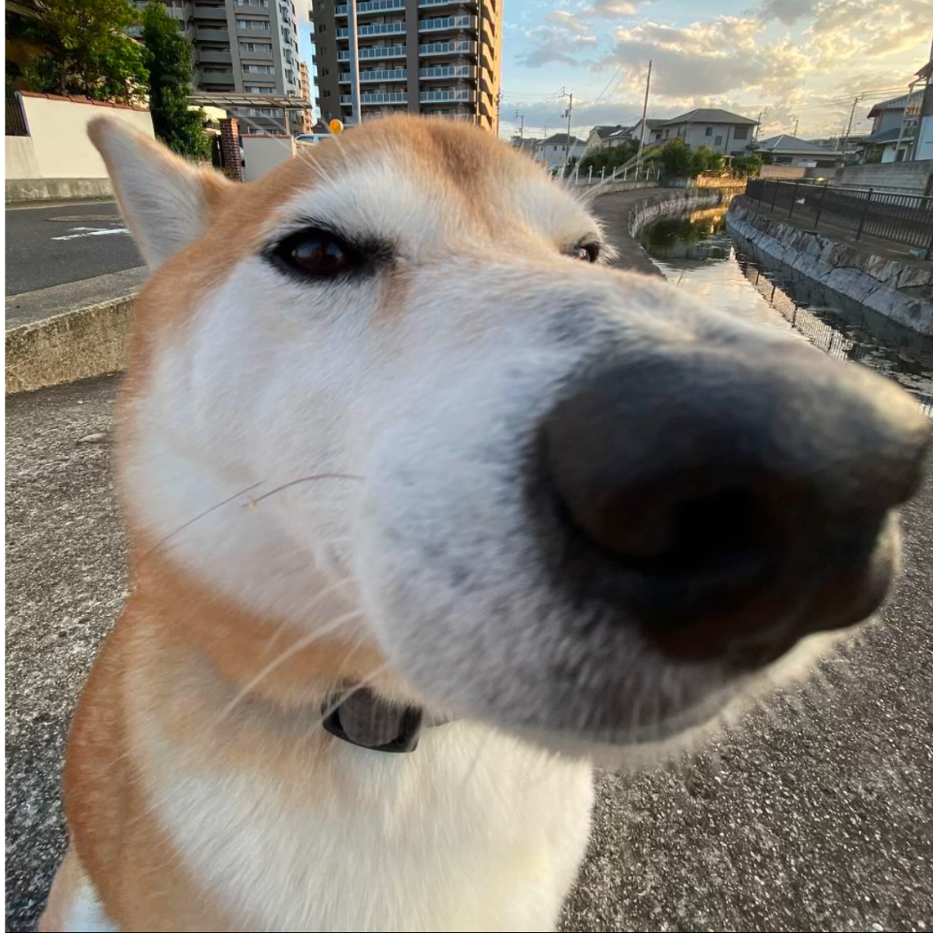 自律