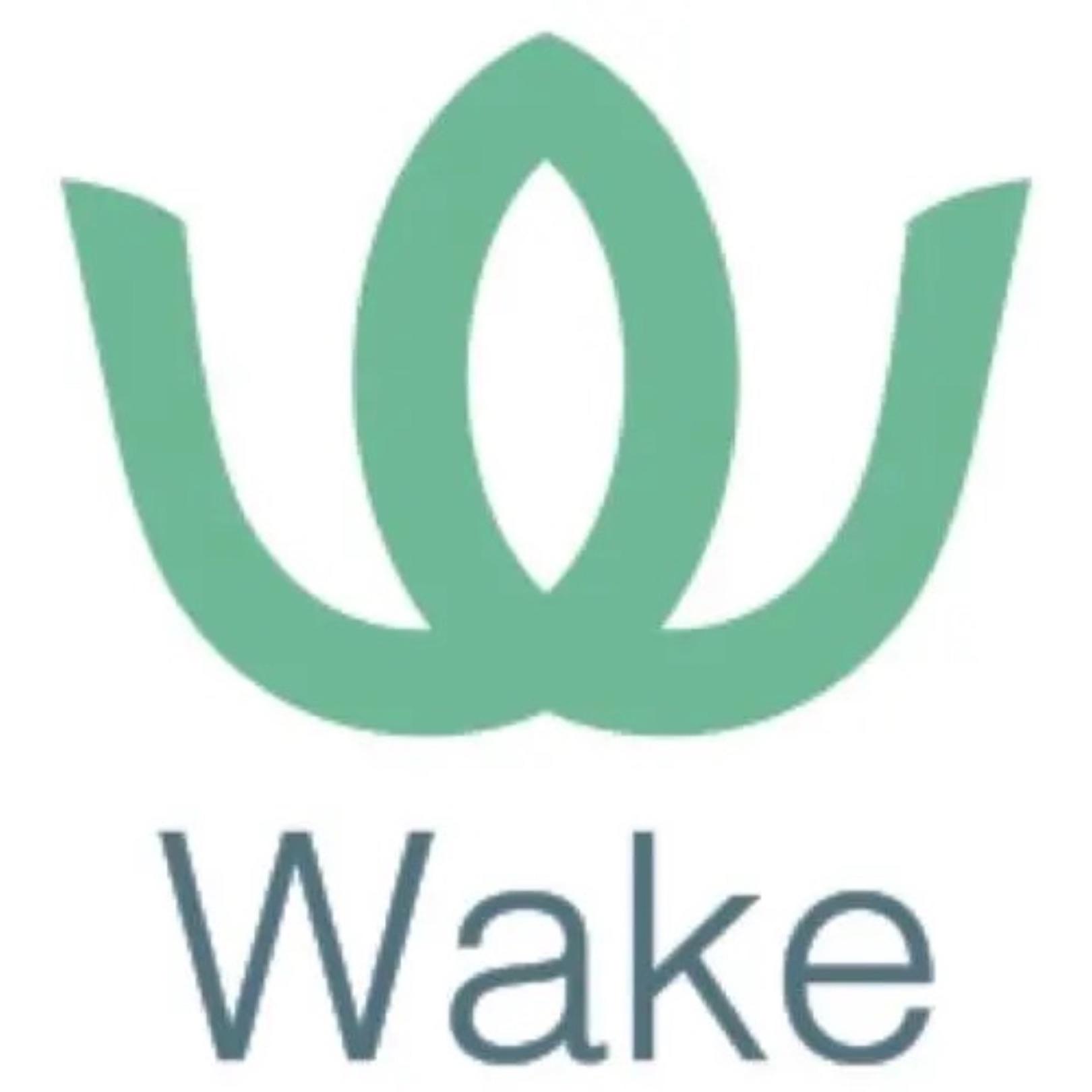 wake.千纸鹤