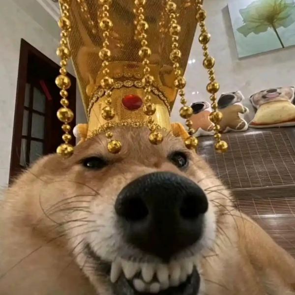 wh山河之巅