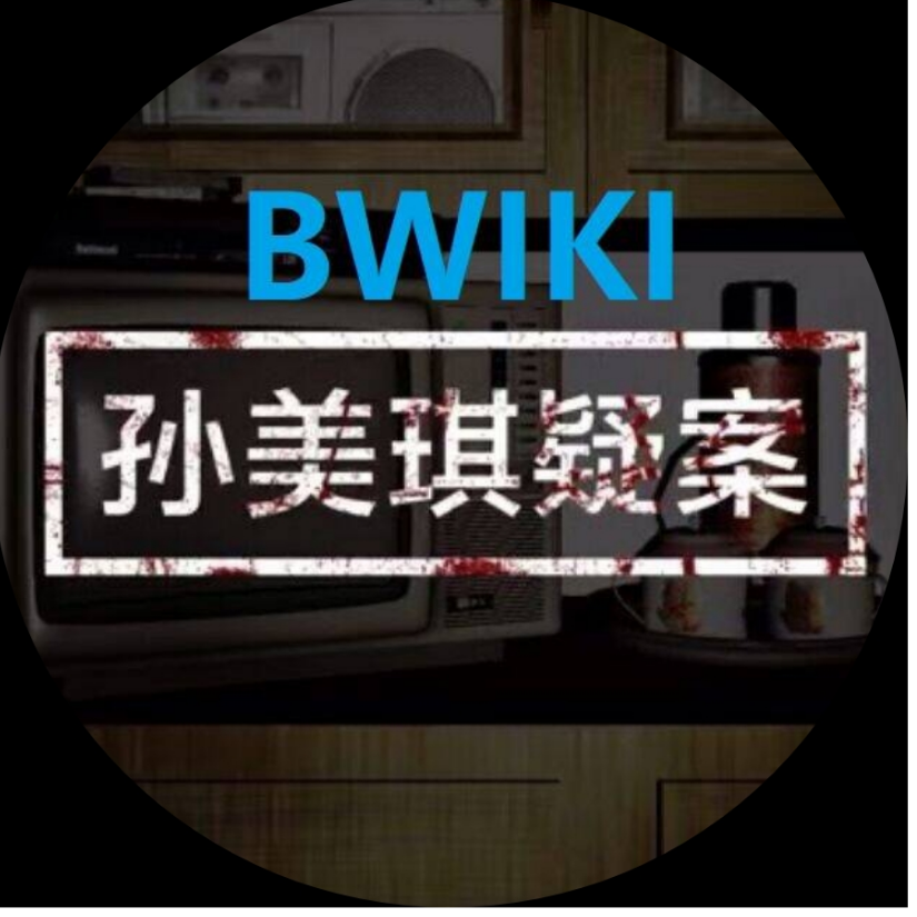 孙美琪疑案—BWIKI攻略组