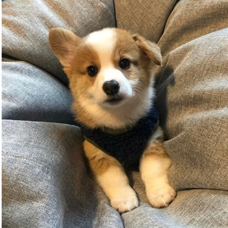 我们见面吧。