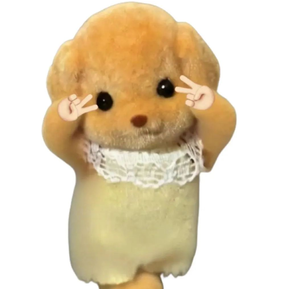 崔迪