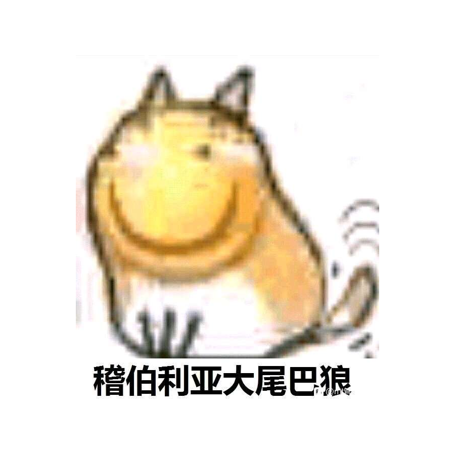 jblydybl