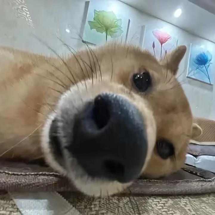 眉边边