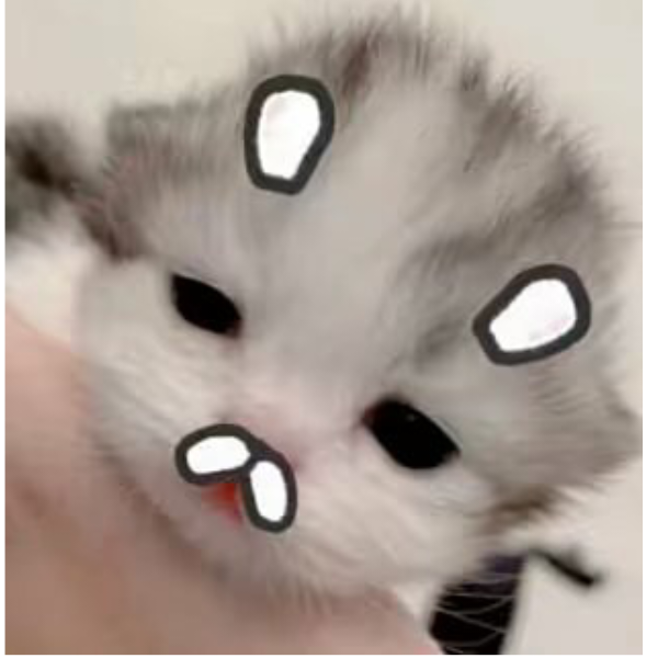 y1yi