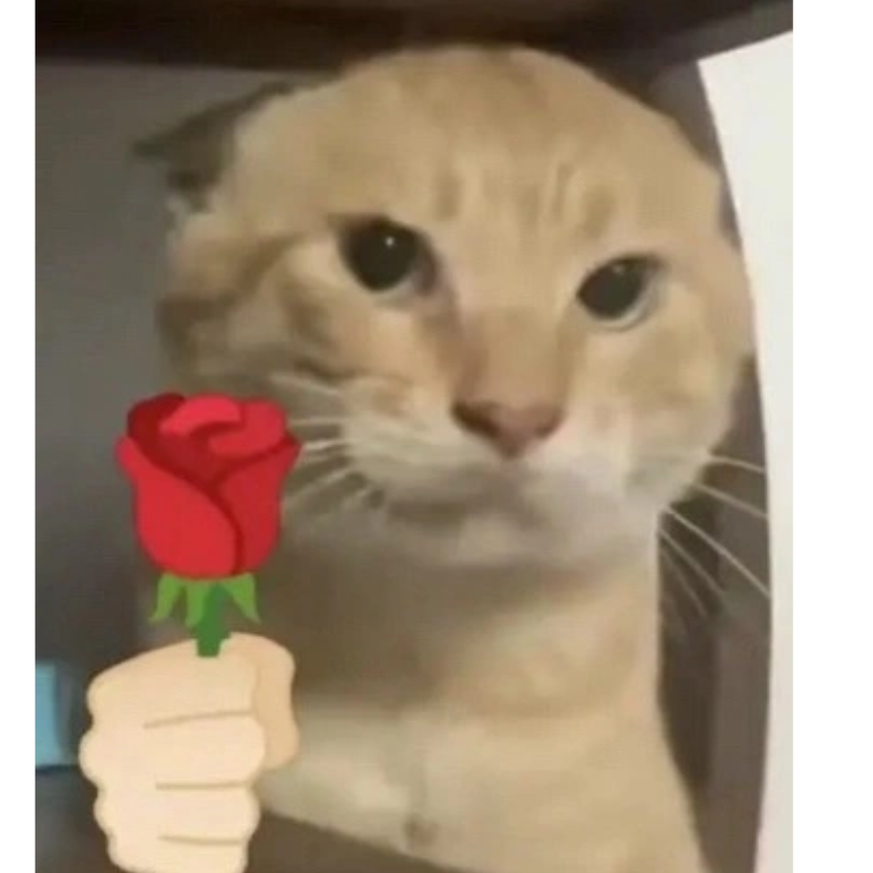 灰尘烟花