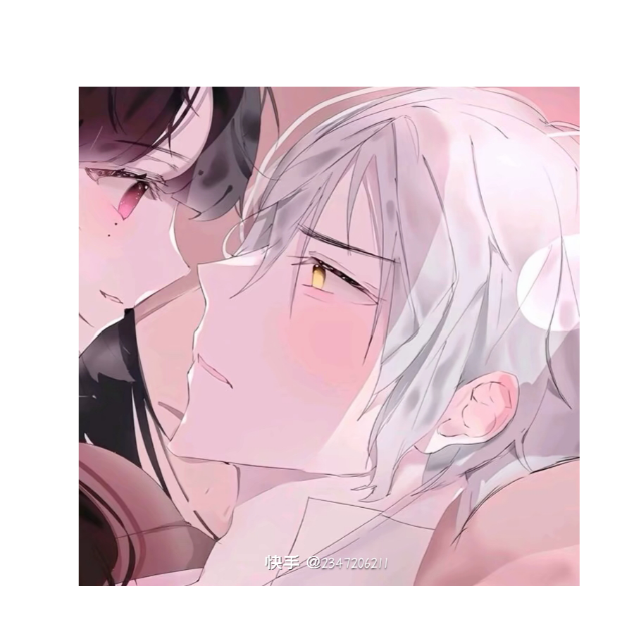 佳佳