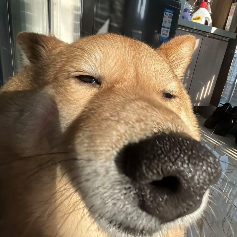 对方正在输入中
