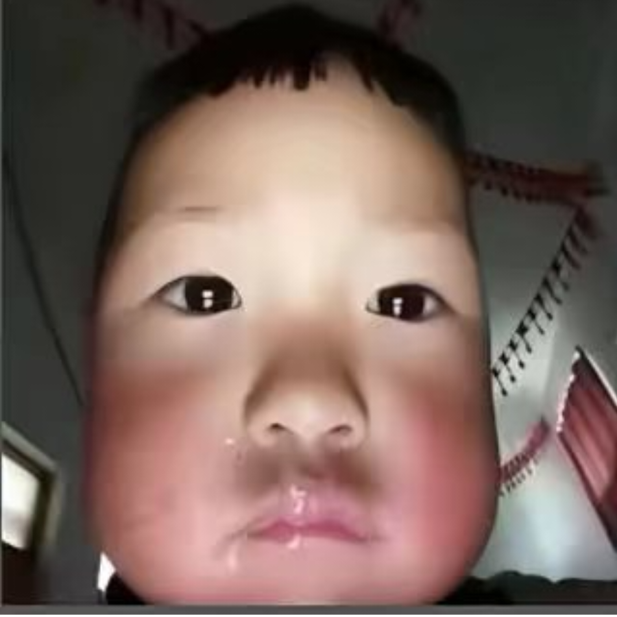鸭马呆