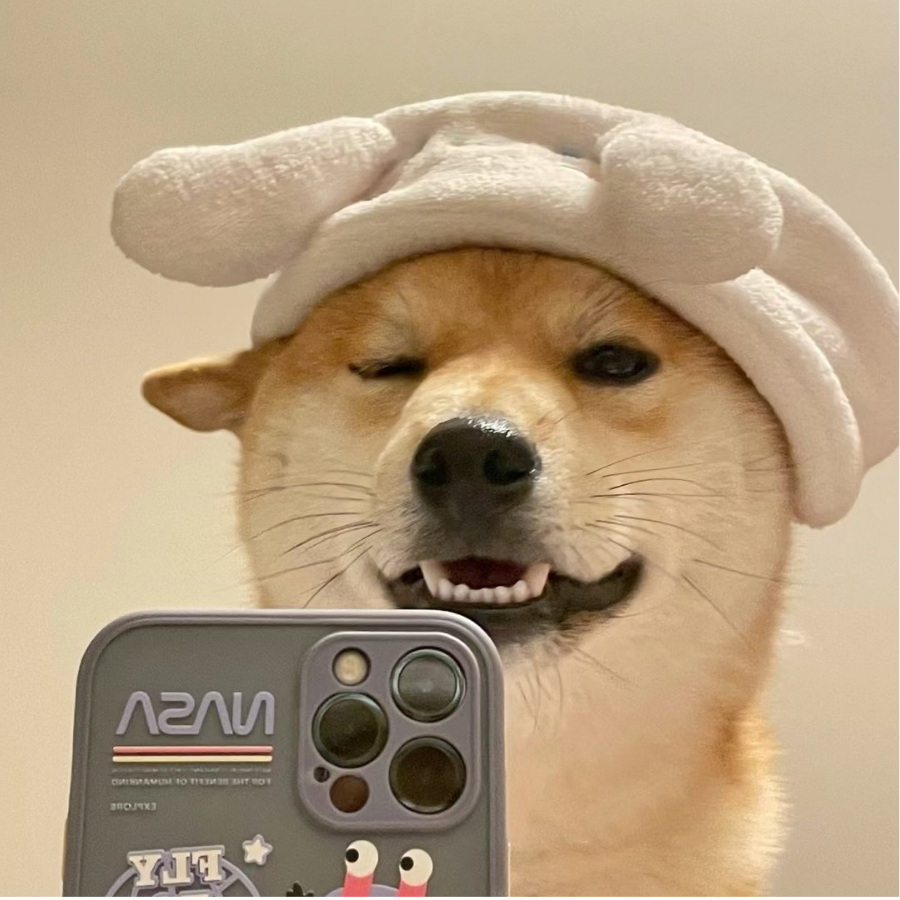 予舟