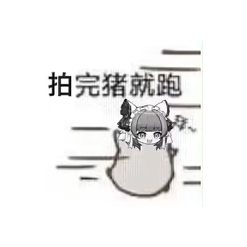 书月止戈