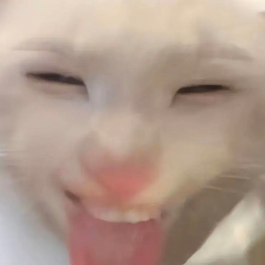 超十三