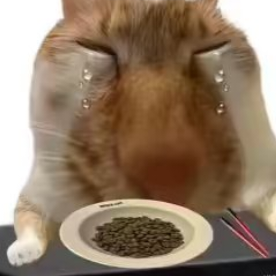 老tt