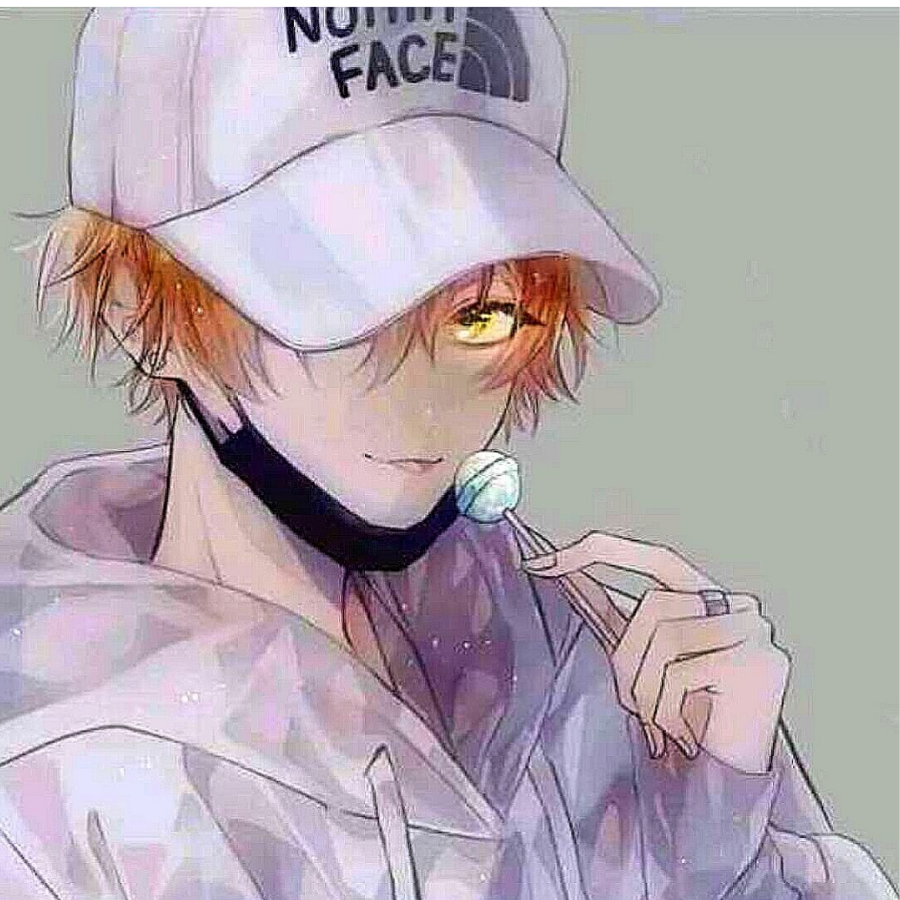 白夜