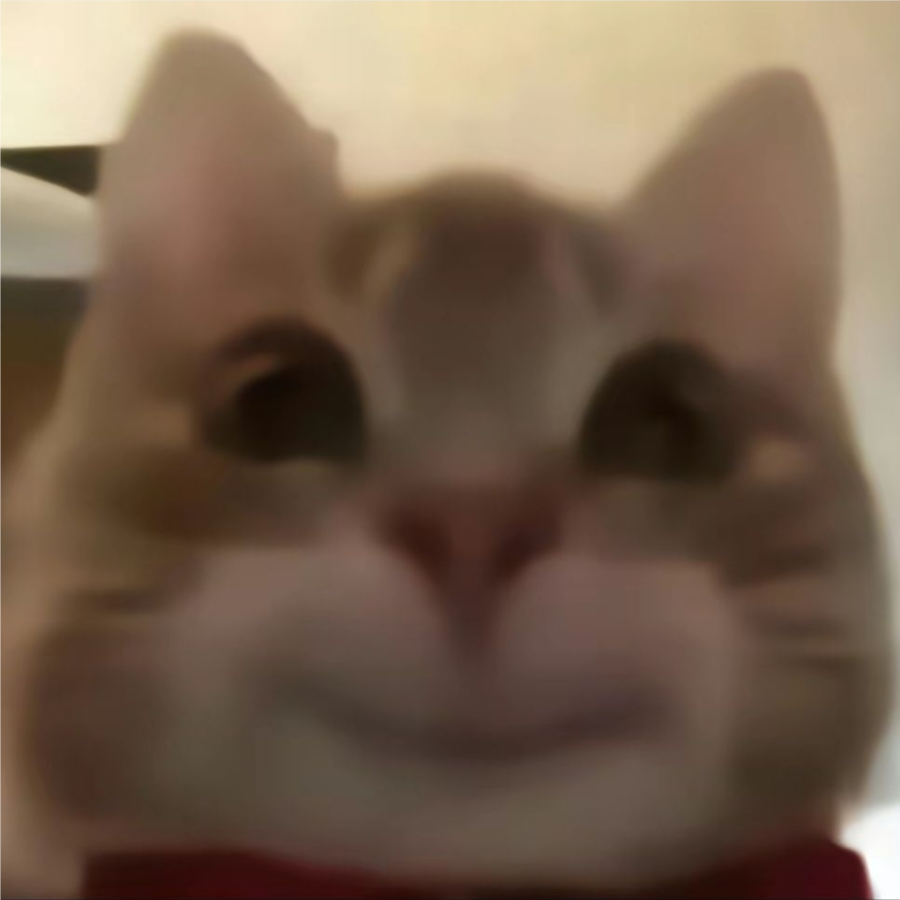 小锦鲤