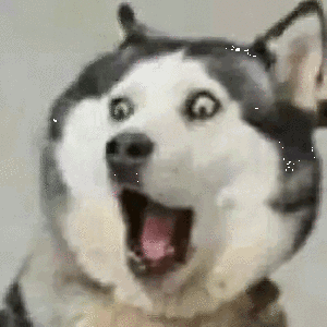 小七七爱大侠