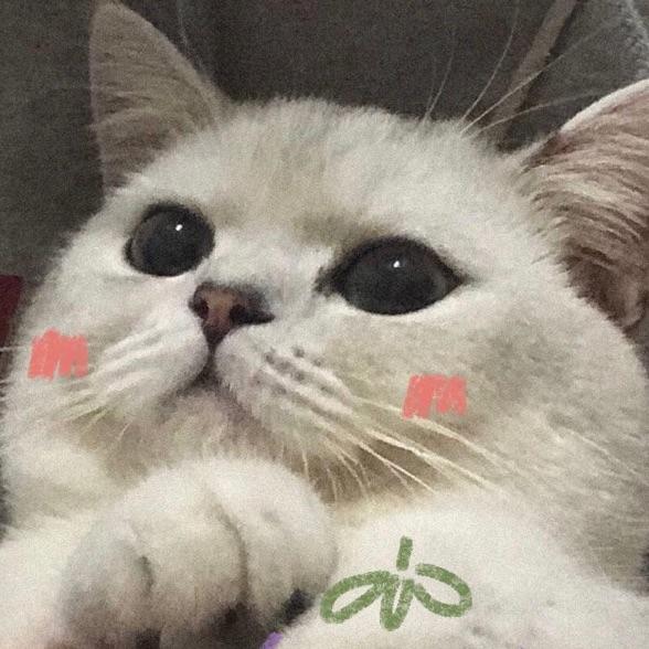 迢迢