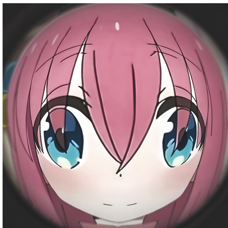 一只波奇