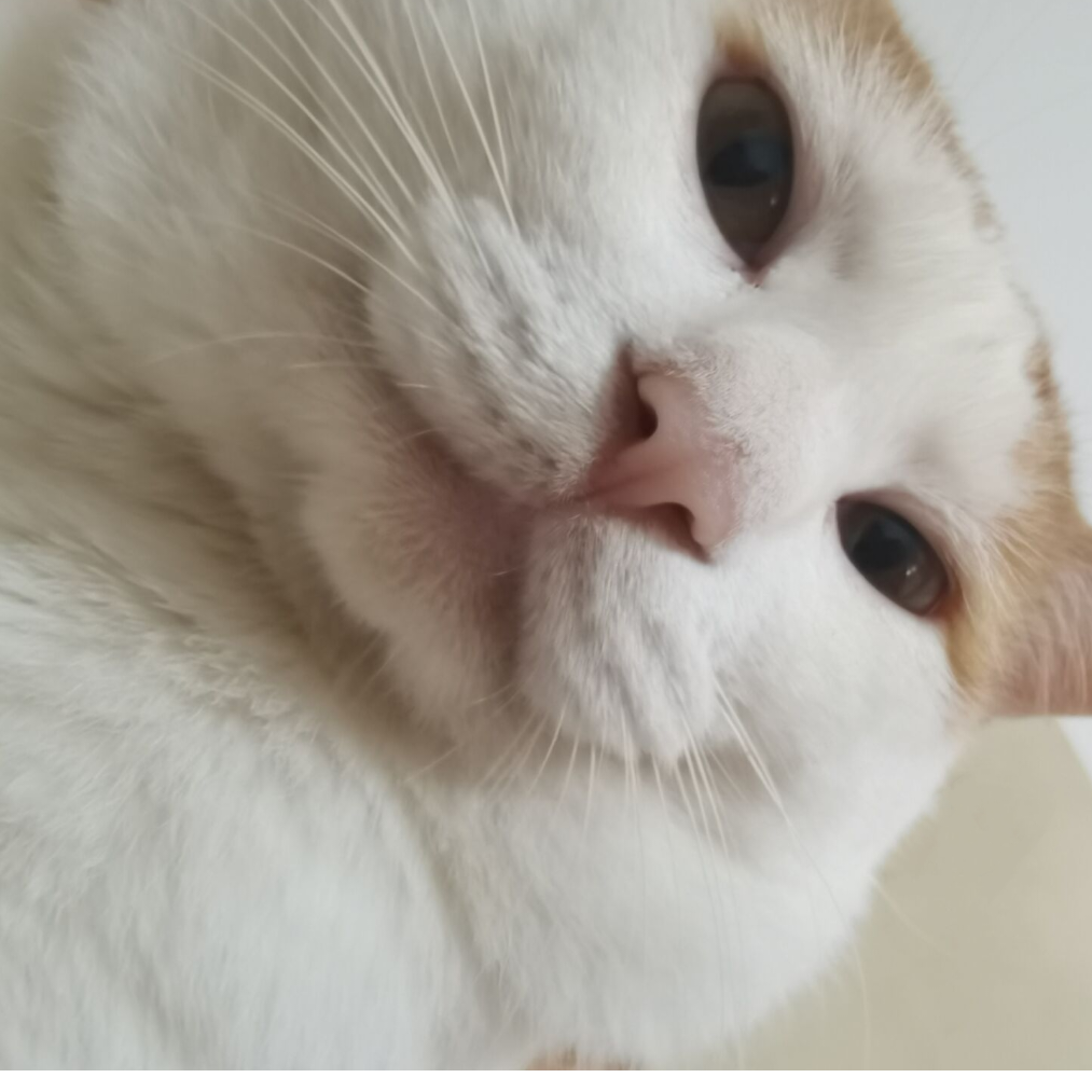 欣欣的心