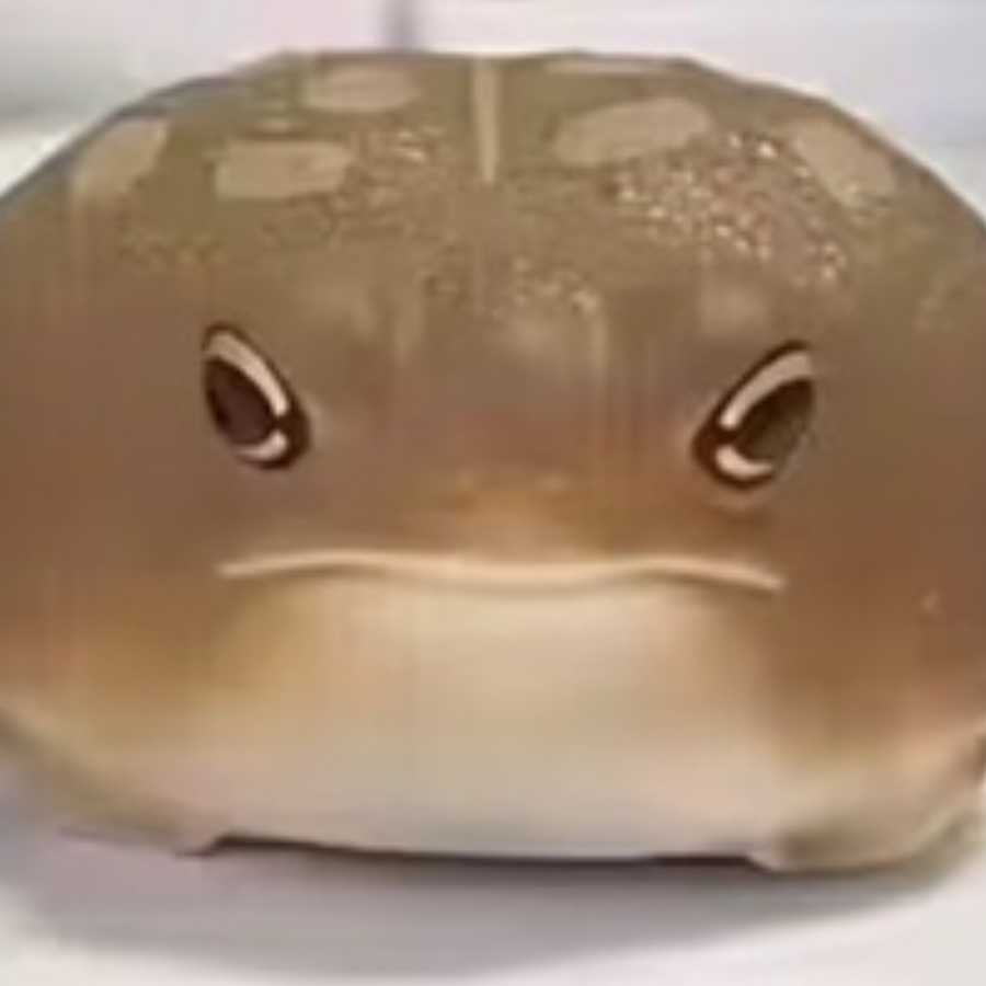 坤坤