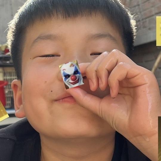 荔枝鱼y