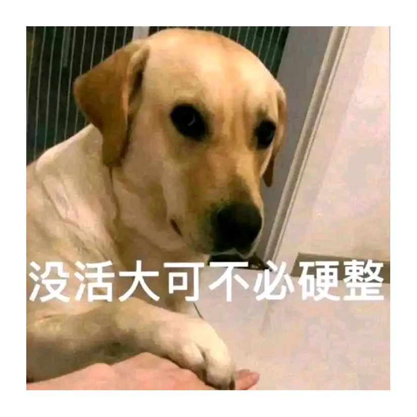 见多识广