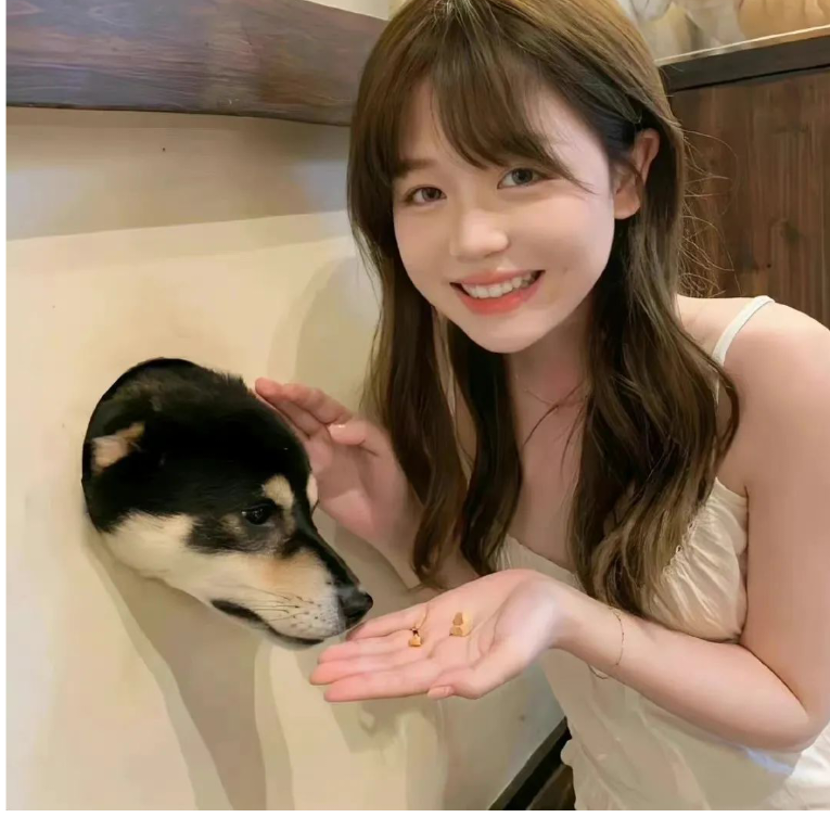 心动