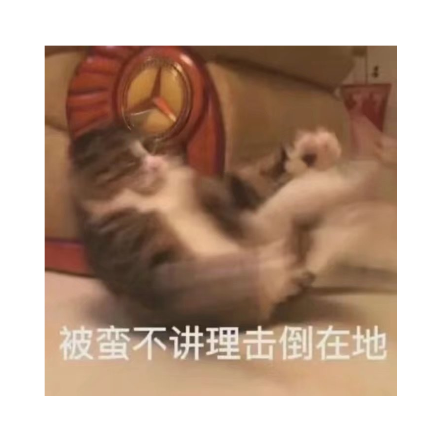 麟崽不会生气