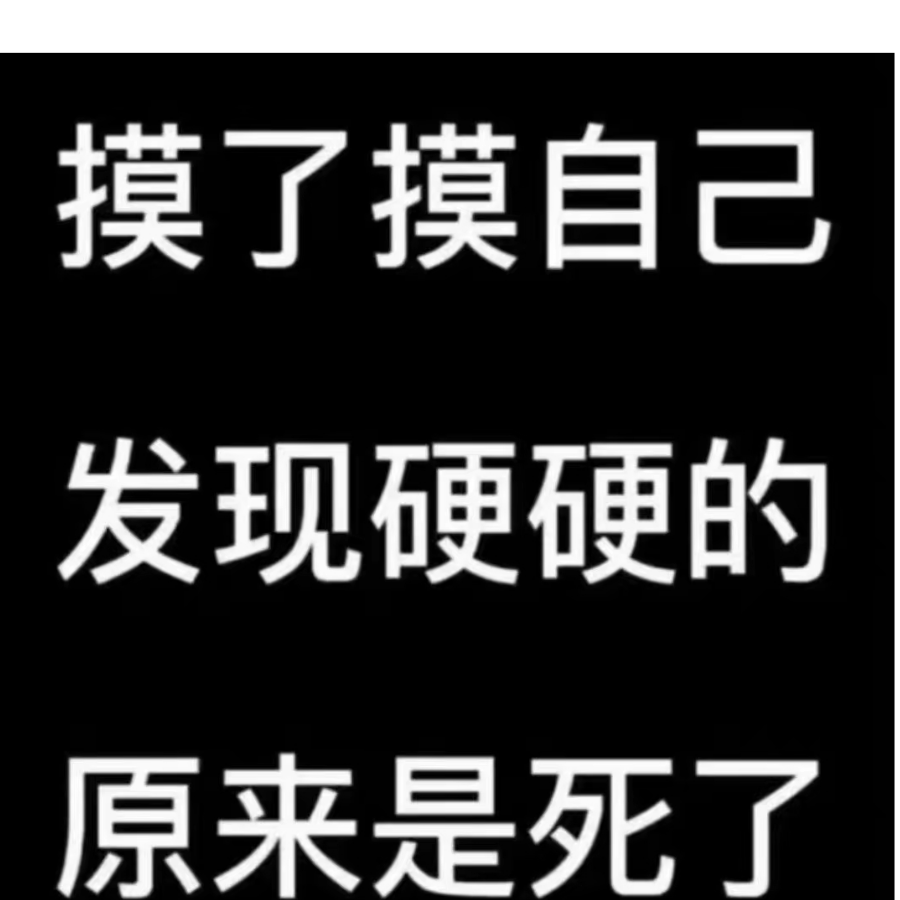 笋居士不损