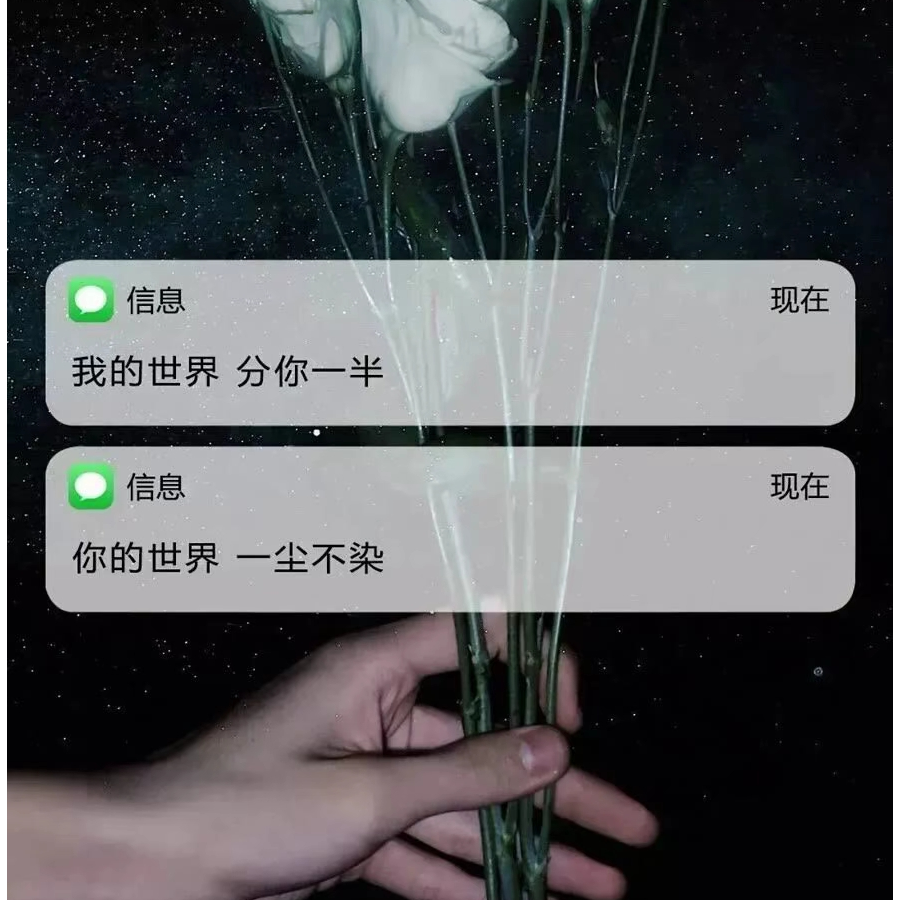 暴躁的小恐龙