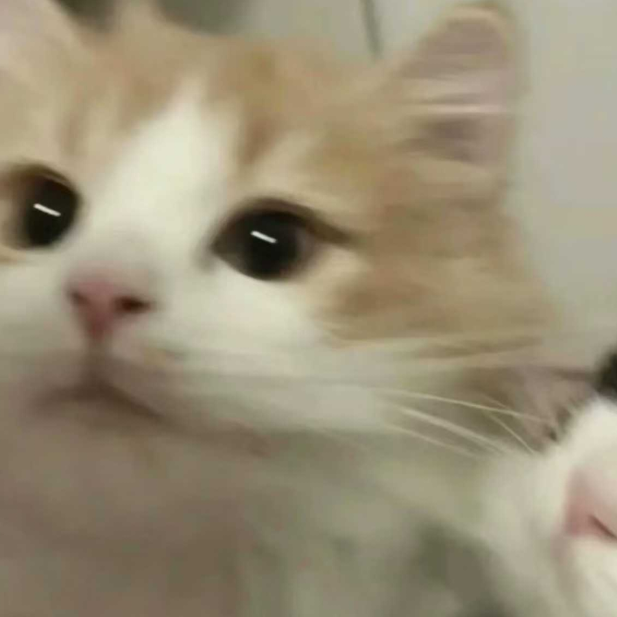 湖竹清韵
