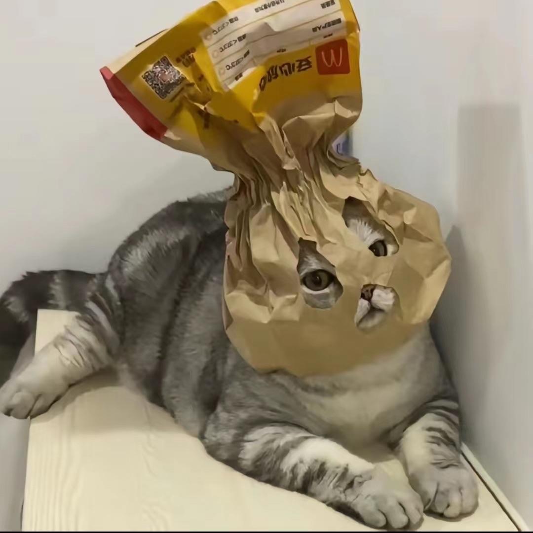 哈黑猫警长