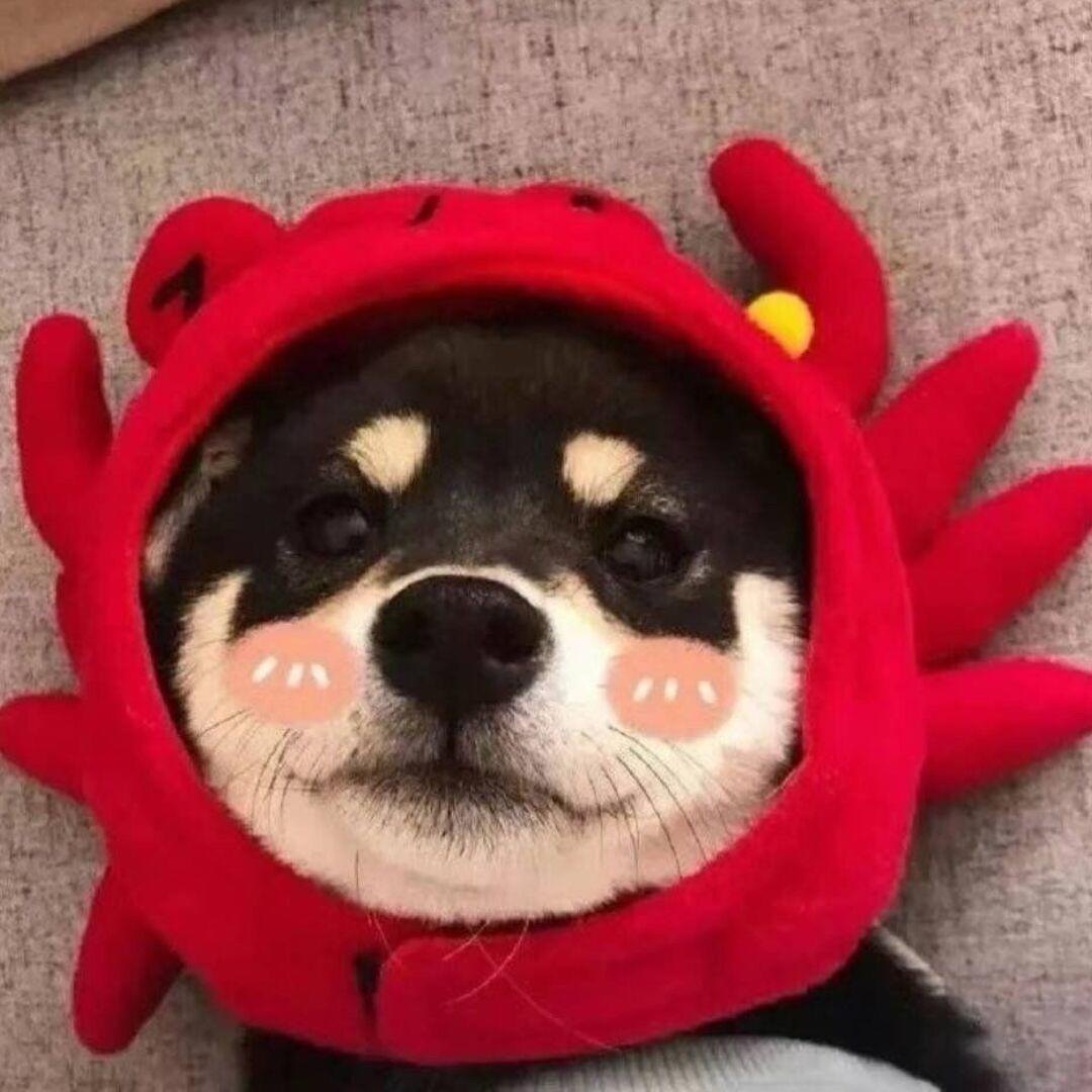 懿生