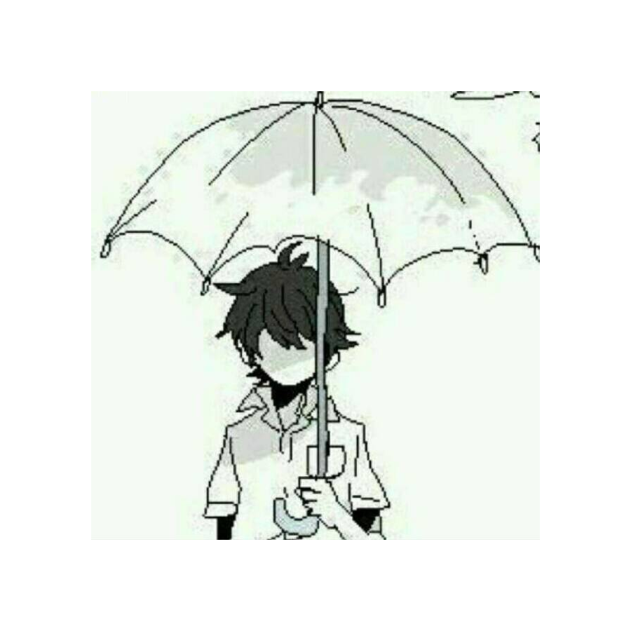 凉柚