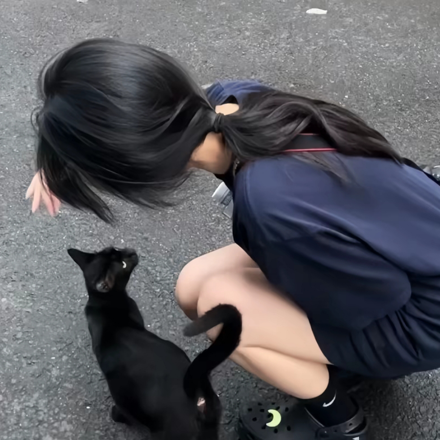 一只呆呆猫^