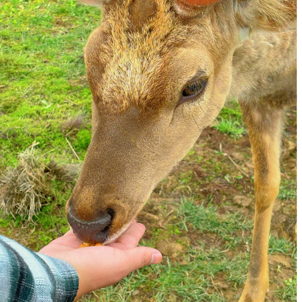 韩立不削没天理