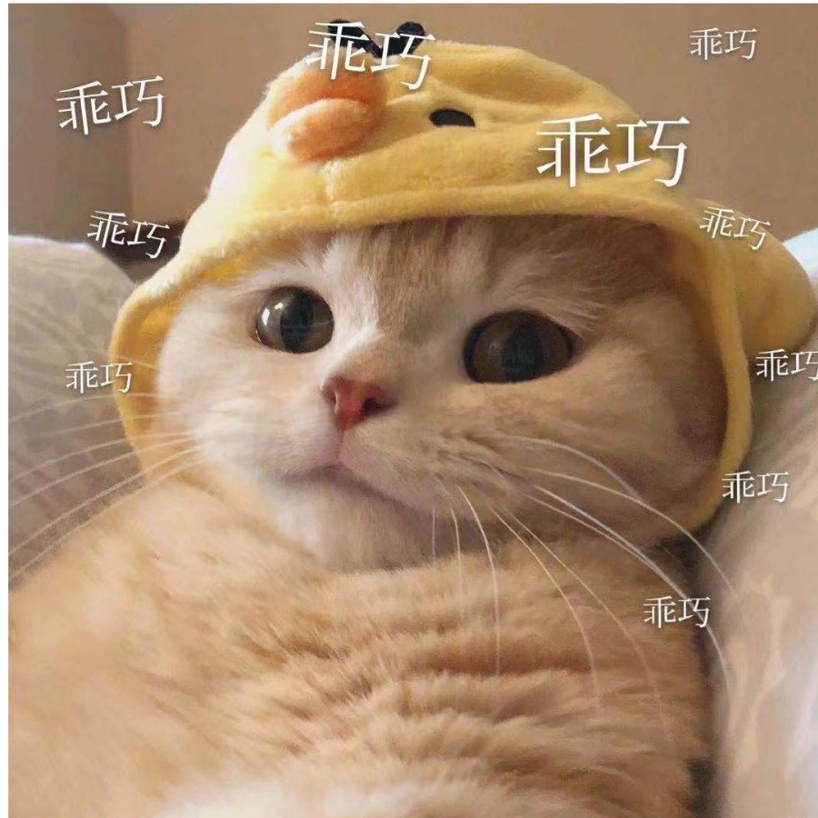 谢子笙