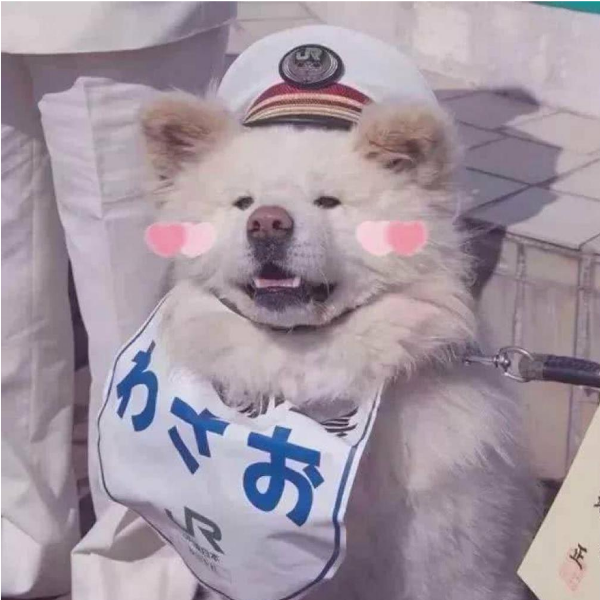 不是单身狗的单身狗
