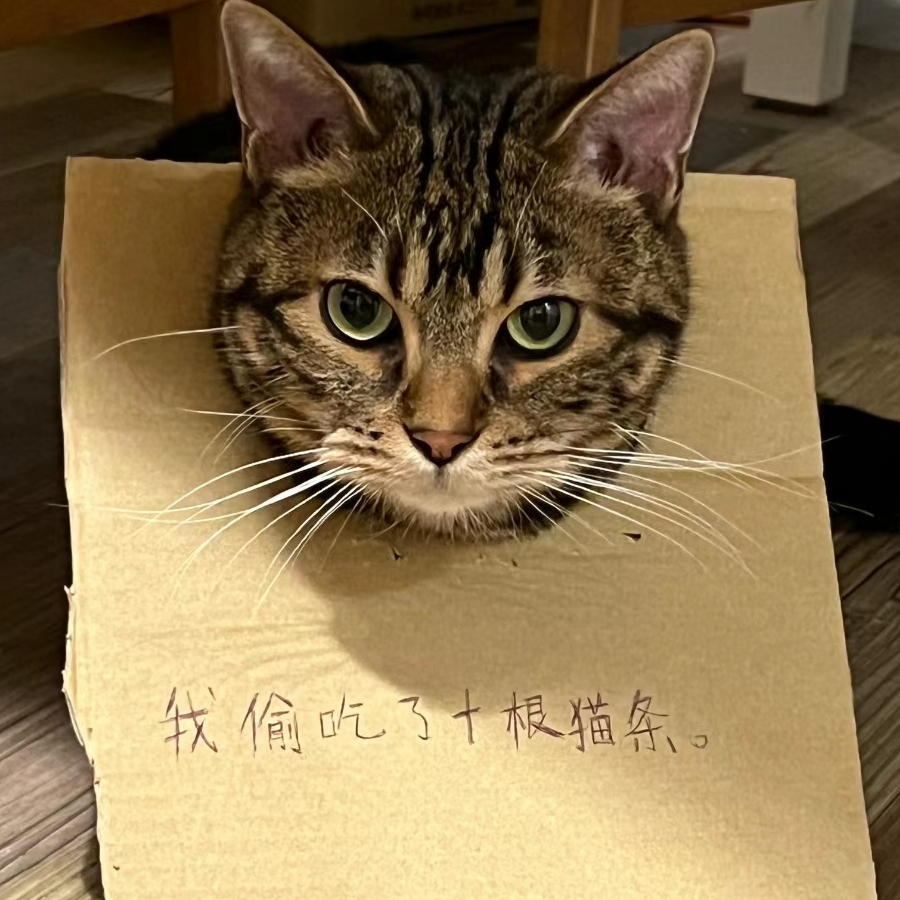 呱呱