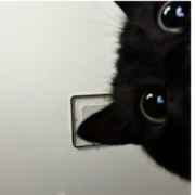 不會喷火的小火龍