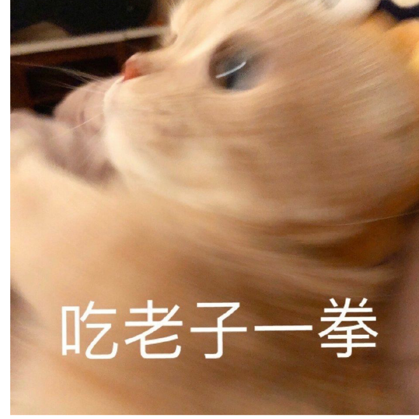 不及皎月柔情满腔