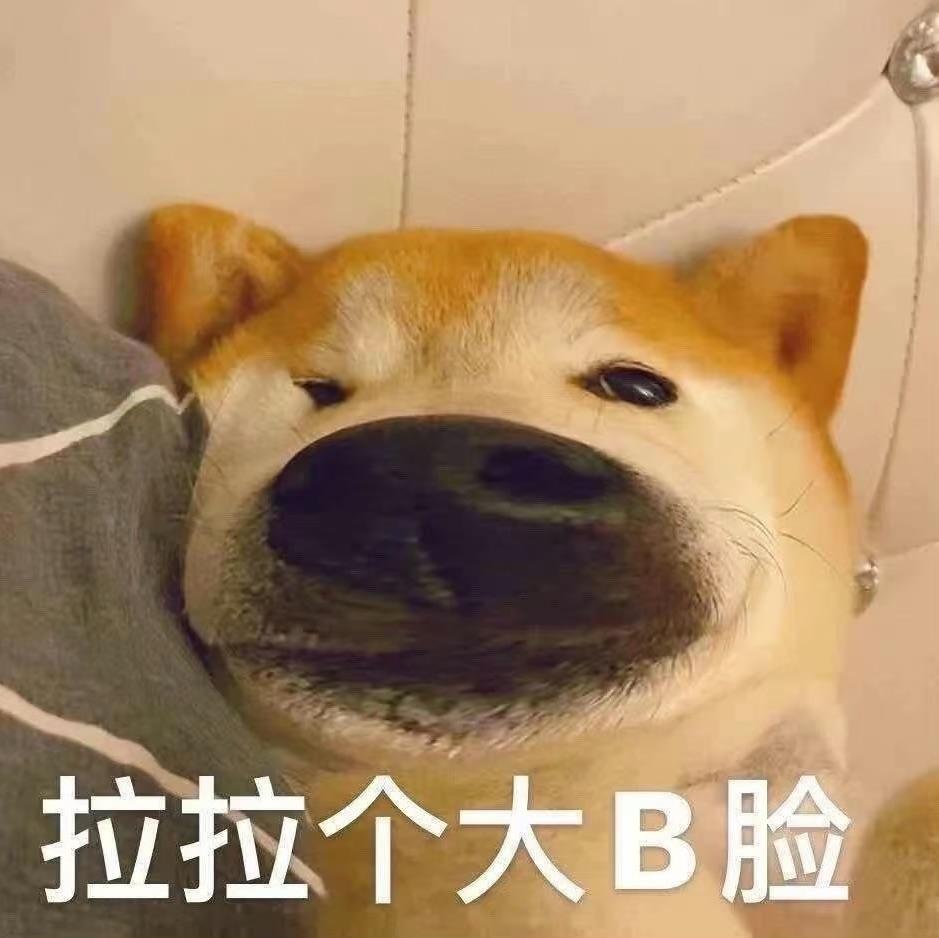 今天不想种菜了