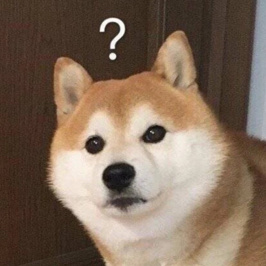 真的纯路人