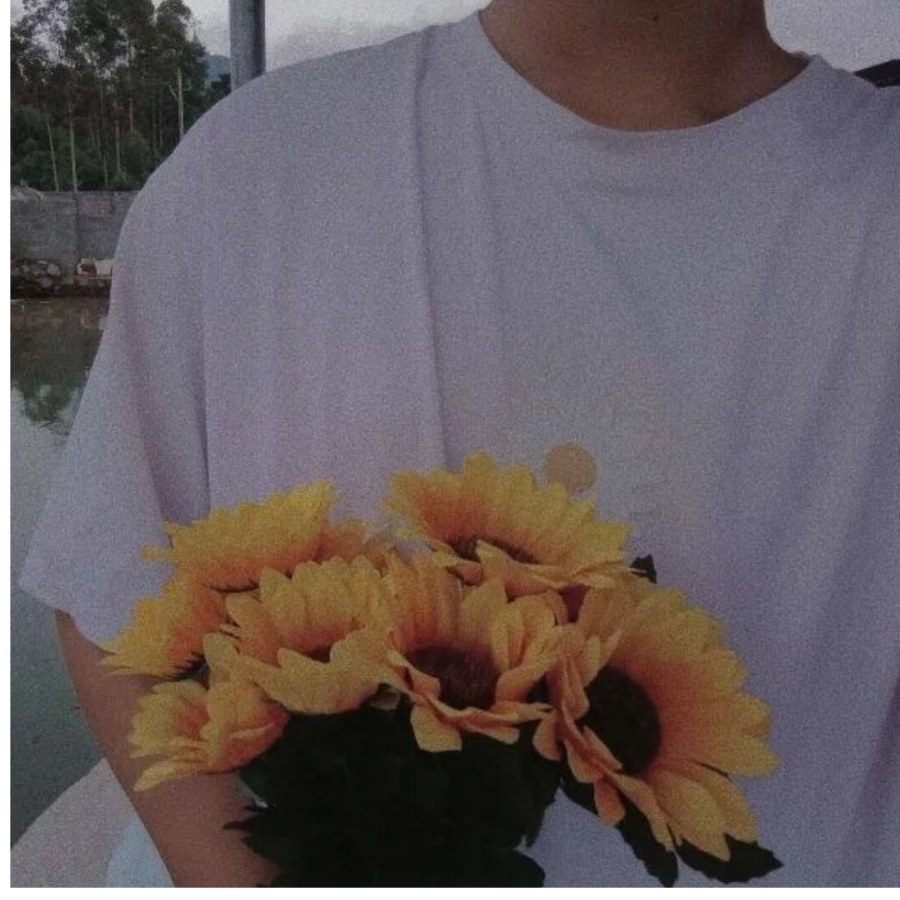 朔辉